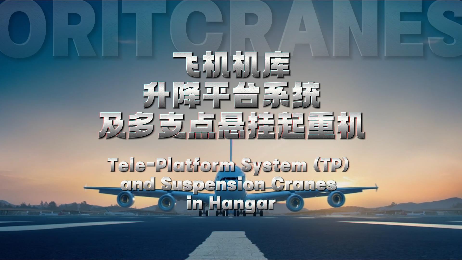 奧力通航空起重機(jī)及升降平臺TP